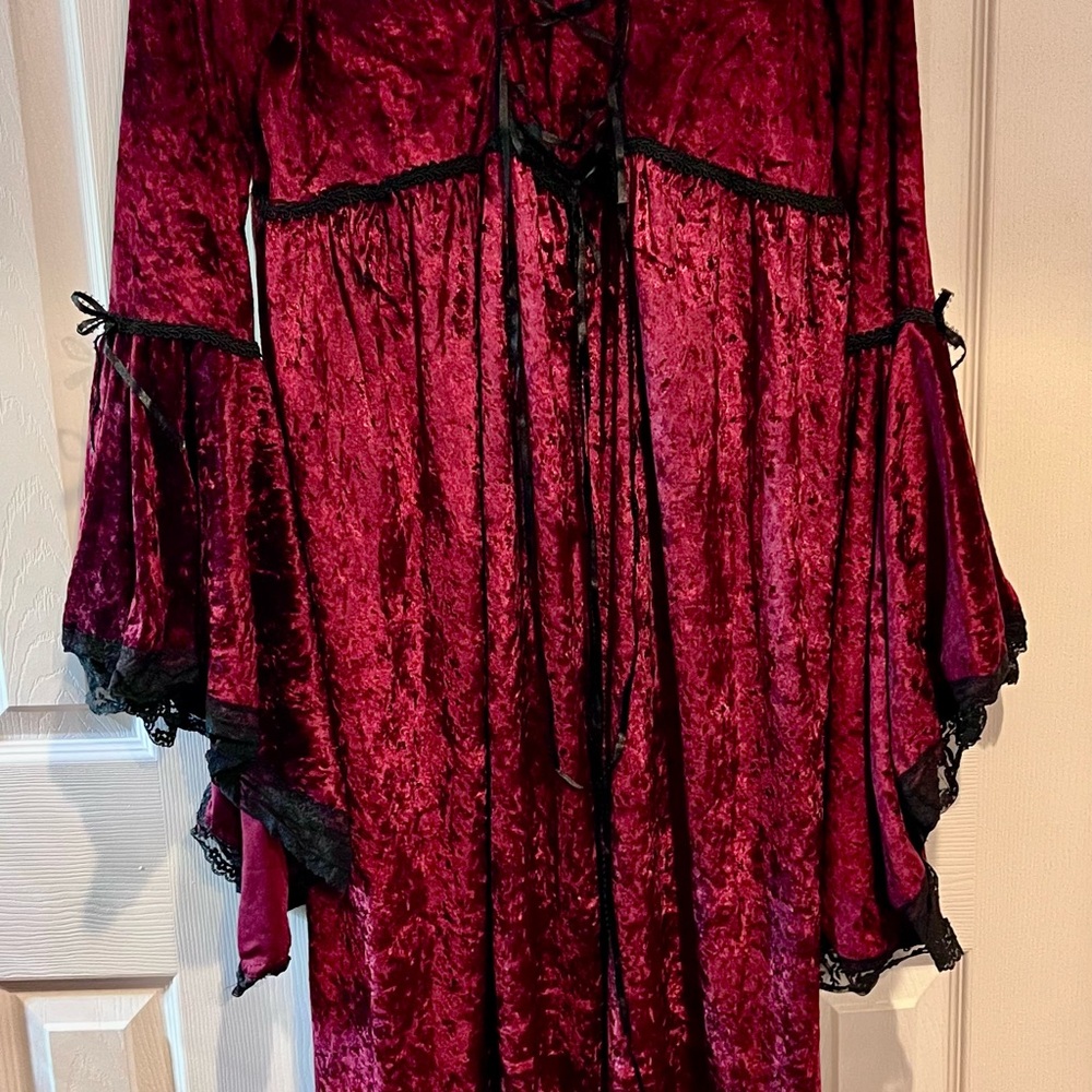 Elegant Wine Red Goth Velvet Gown - Picture 2 of 5